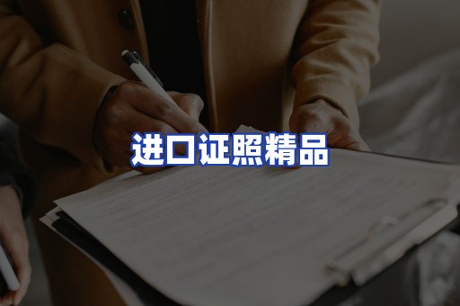 进口证件页面制证
